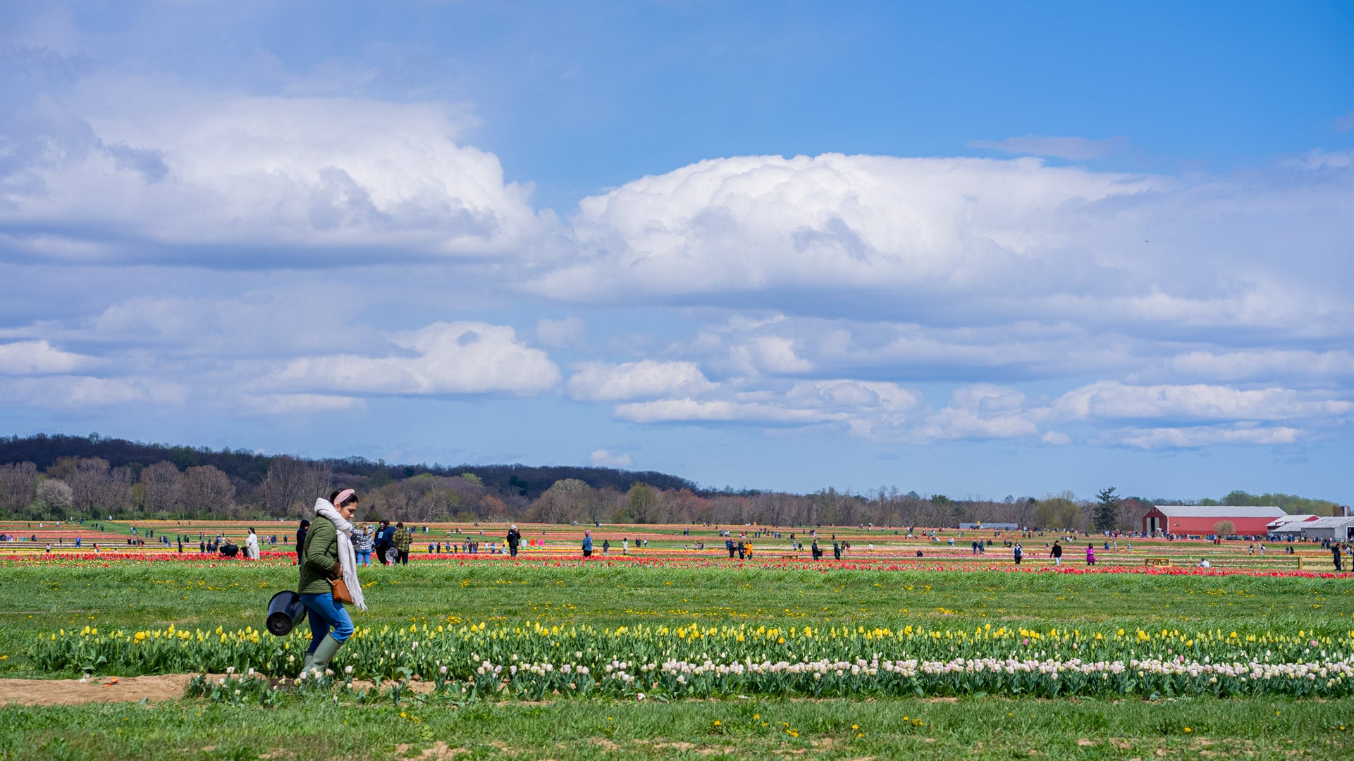 Celebrating Our 2nd Year Anniversary At All In The Detail